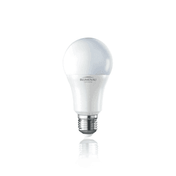 Lâmpada Led A55 E27 6500k Frio Luz Branca de 6w 540lm Bivolt Blumenau